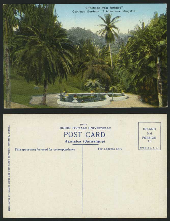 Jamaica Old Color Postcard Castleton Gardens Lily Pond Trees British West Indies