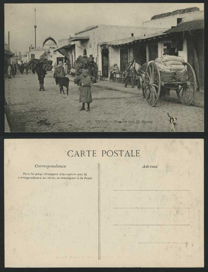 Tunis Old Postcard Rue de Sidi El Bechir Str DOG Donkey