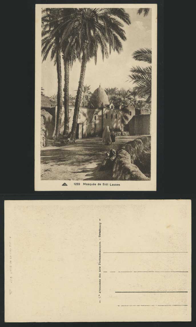 Algeria Old Postcard BISKRA Mosque, Mosquee Sidi Lassen, Mosquee, Palm Trees
