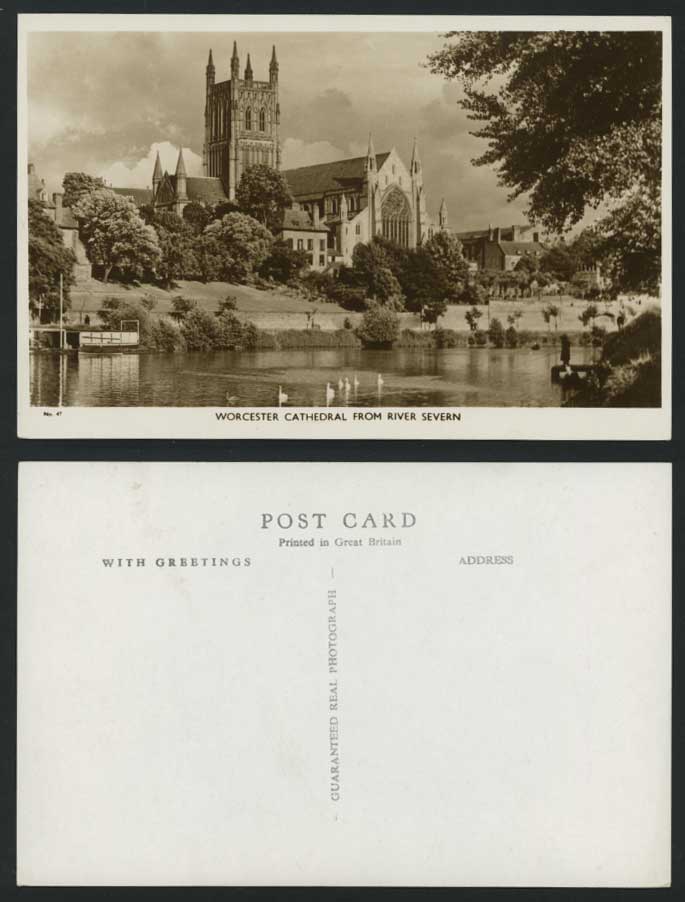 Worcester Cathedral from River Severn Old Postcard Bird