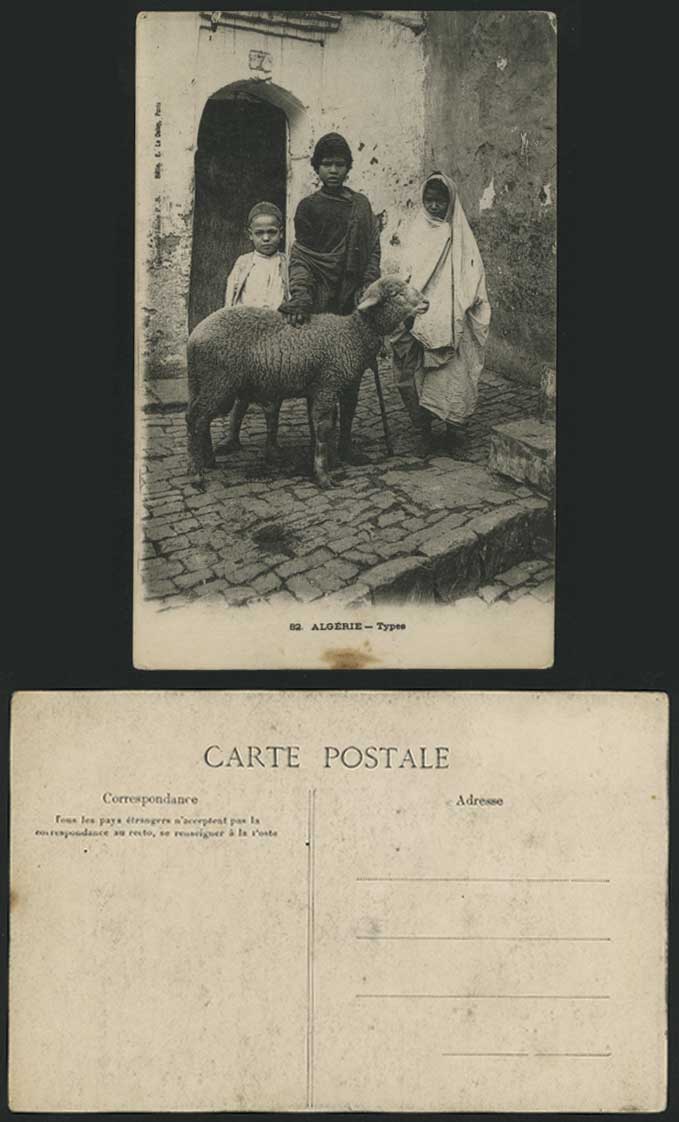 SHEEP Algeria, Children Boy & Girl Old Postcard Algerie