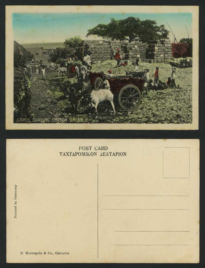 India Old Postcard - Bullock Carts Loading Cotton Bales