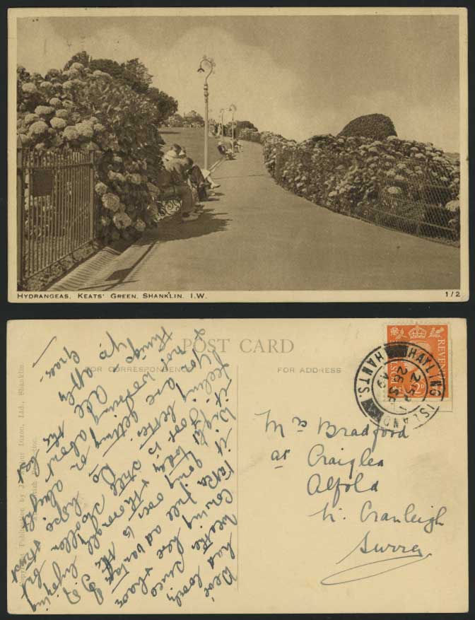 Shanklin I.W. 1949 Old Postcard Hydrangeas Keats' Green