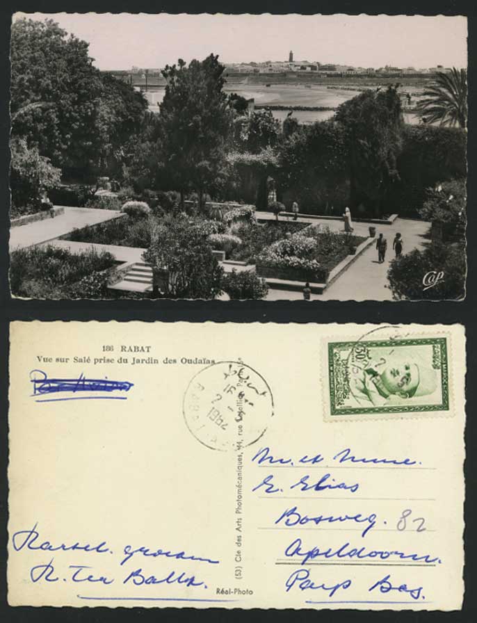 RABAT 1962 RP Postcard Sale prise du Jardin des Oudaias