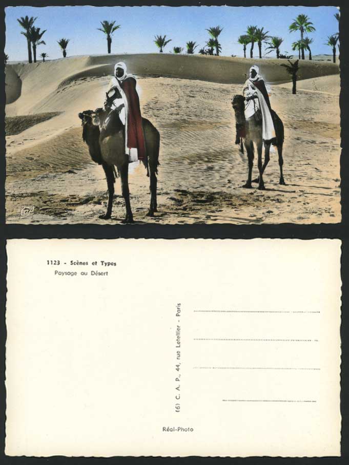 Algeria Old RP Postcard Paysage au Desert, Camel Riders