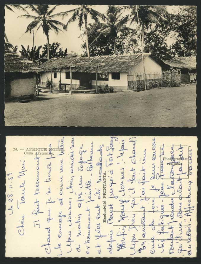 North Africa Old Postcard Case Africaine Hut Palm Trees